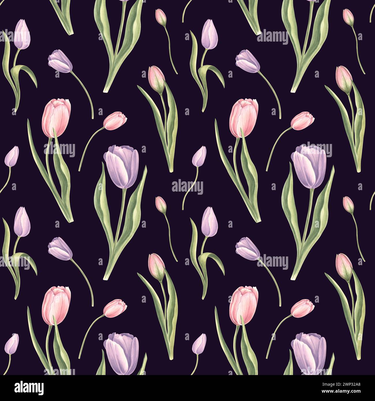 Nahtloses Muster aus violetten rosa Tulpen mit Blättern auf dunklem Hintergrund. Hand gezeichnet Aquarell Illustration Garten Frühlingsblüte. Vorlage für fabr Stockfoto