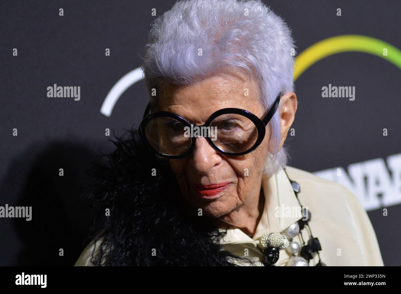 Iris Apfel, die mit dem Icon Award ausgezeichnet wurde, nimmt am 29. November 2016 an den 30. FN Achievement Awards im IAC Headquarters in New York Teil. Stockfoto