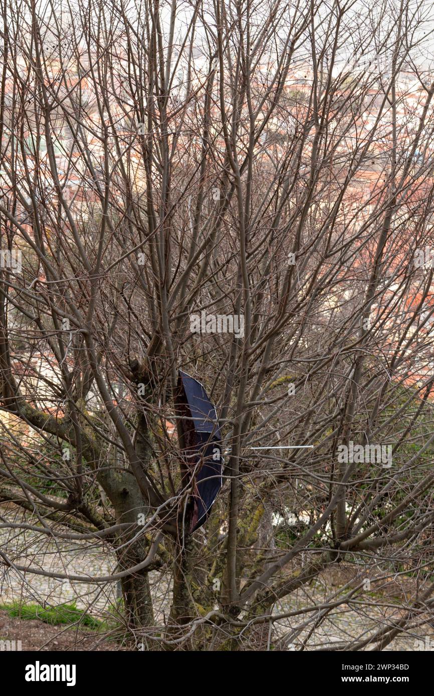 Der Regenschirm drehte sich von innen heraus und steckte in einem Baum fest Stockfoto