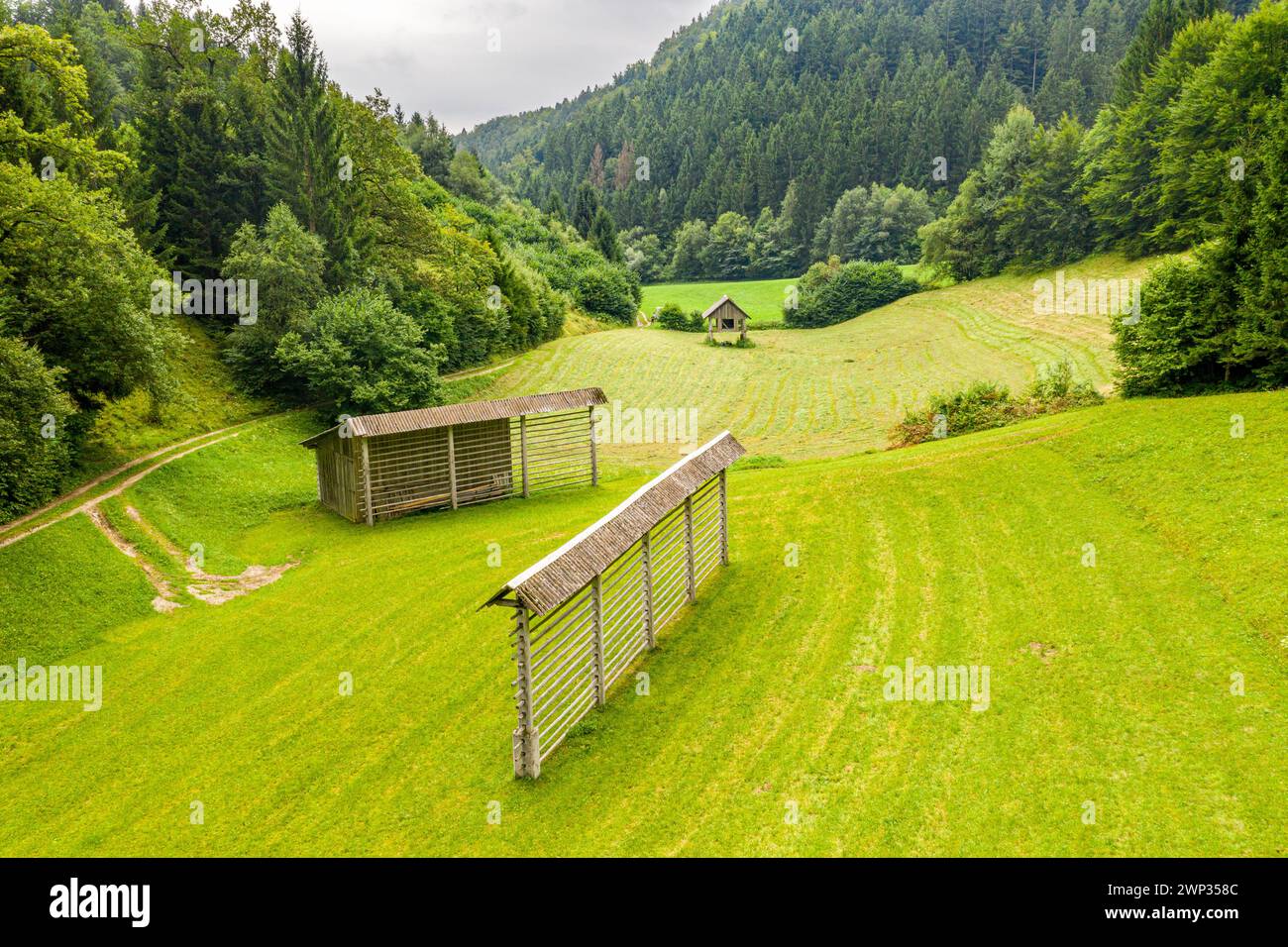 Landschaft Sloweniens. Traditionelle Heutrockenständer auf einer Wiese im Triglav-Nationalpark Stockfoto