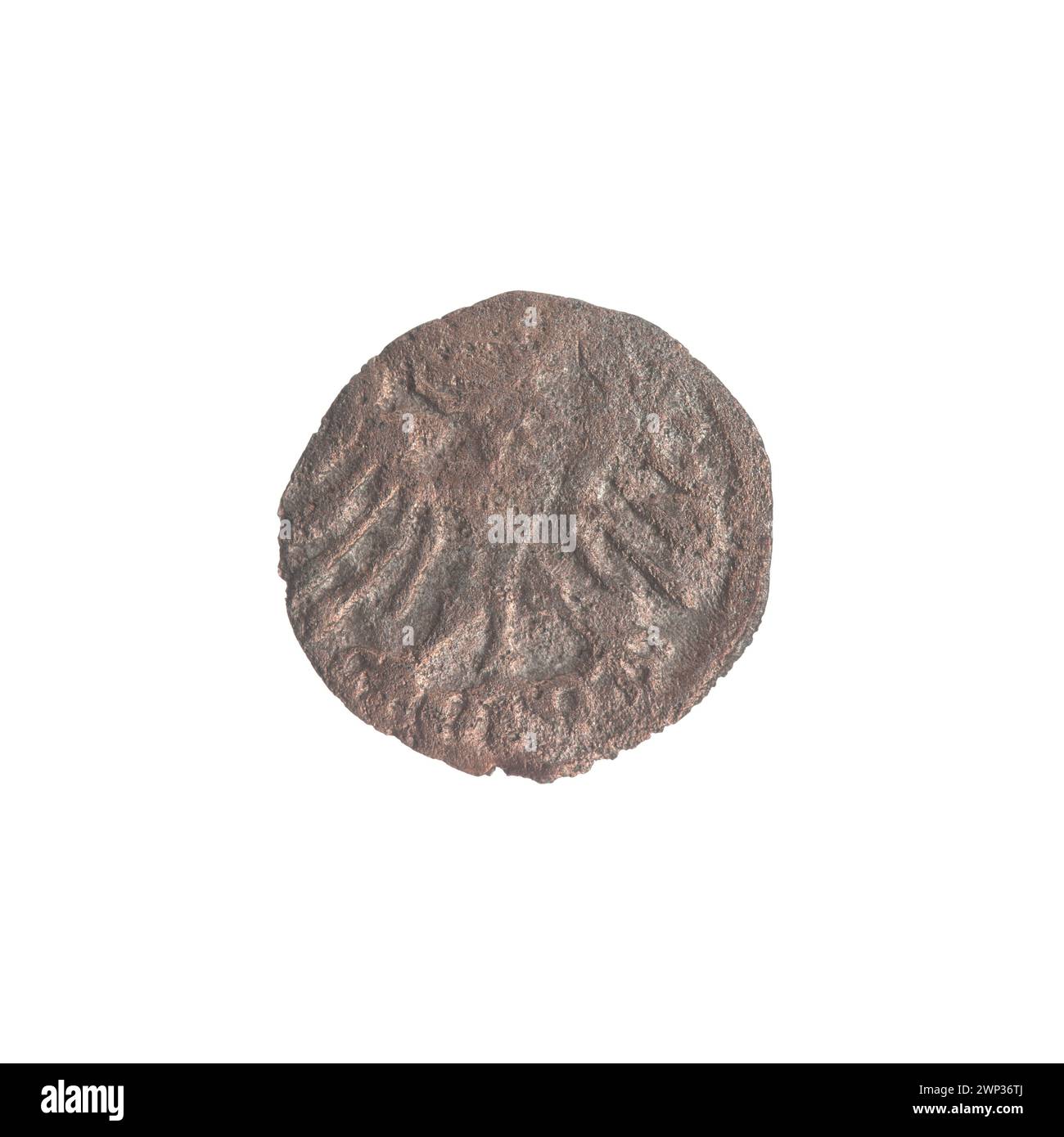 Kronendenari-Münze, geprägt in Polen unter König Zygmunt I. Stary (1506–1548) zwischen 1526 und 1527, im Handel und als Währung verwendet. Stockfoto