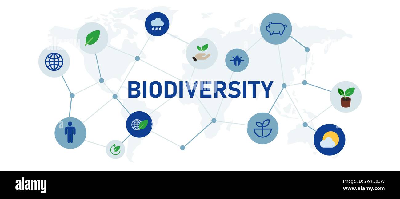 Icon Biodiversität verschiedene Umwelt Natur- und Tierökologie Erhaltung Stock Vektor