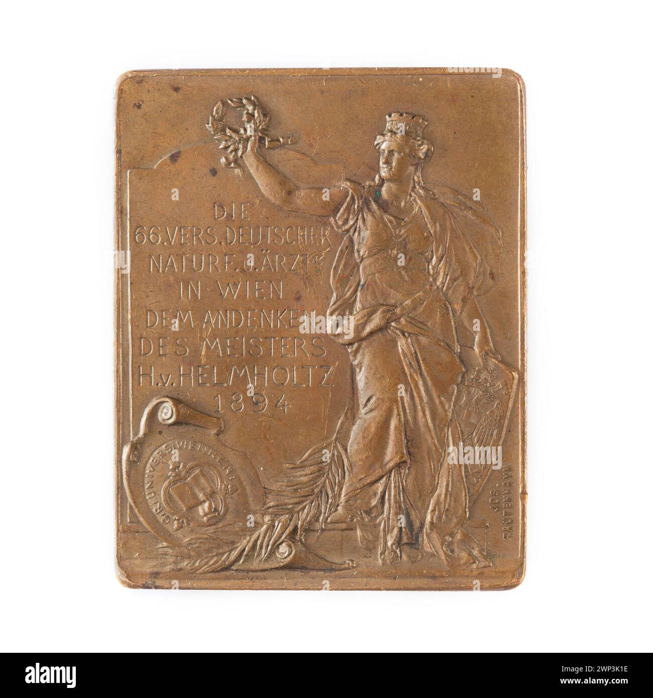 Eine Gedenktafel von Josef Hermann Tautenhayn aus dem Jahr 1894 zu Ehren Hermann von Helmholtz für die Universität Wien, die eine männliche Büste im Secession-Stil darstellt. Stockfoto