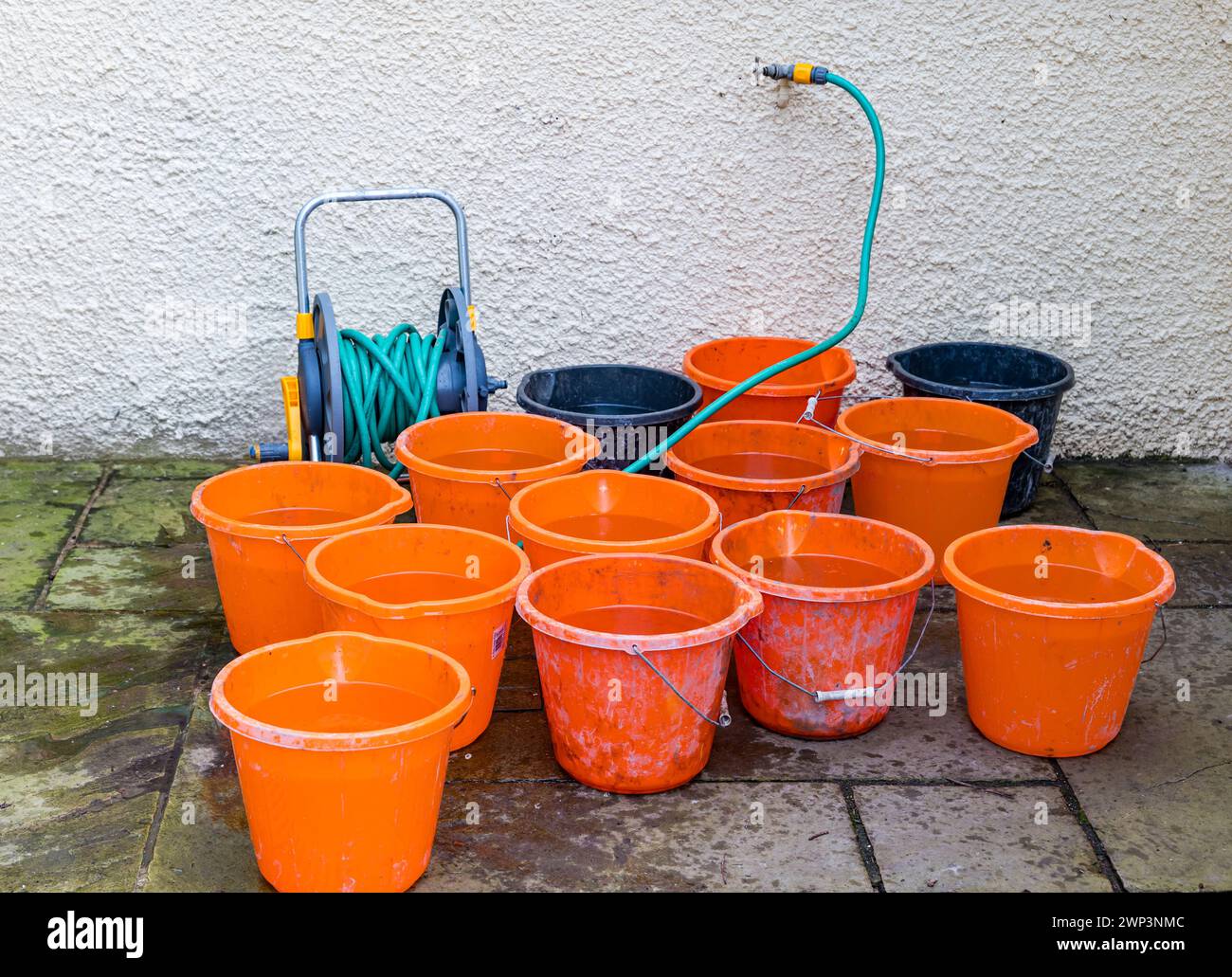 Eimer mit Wasser gefüllt aus einem Gartenhahnschlauch für Gartenbau, Schottland, Großbritannien Stockfoto