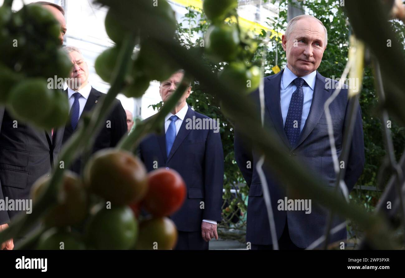 Solnechnodolsk, Russland. März 2024. Der russische Präsident Wladimir Putin, rechts, führt am 5. März 2024 in Solnetschnodolsk, Stavropol-Territorium, Russland durch die Gewächshäuser Solnechni dar für den Tomatenanbau. Quelle: Mikhail Metzel/Kreml Pool/Alamy Live News Stockfoto