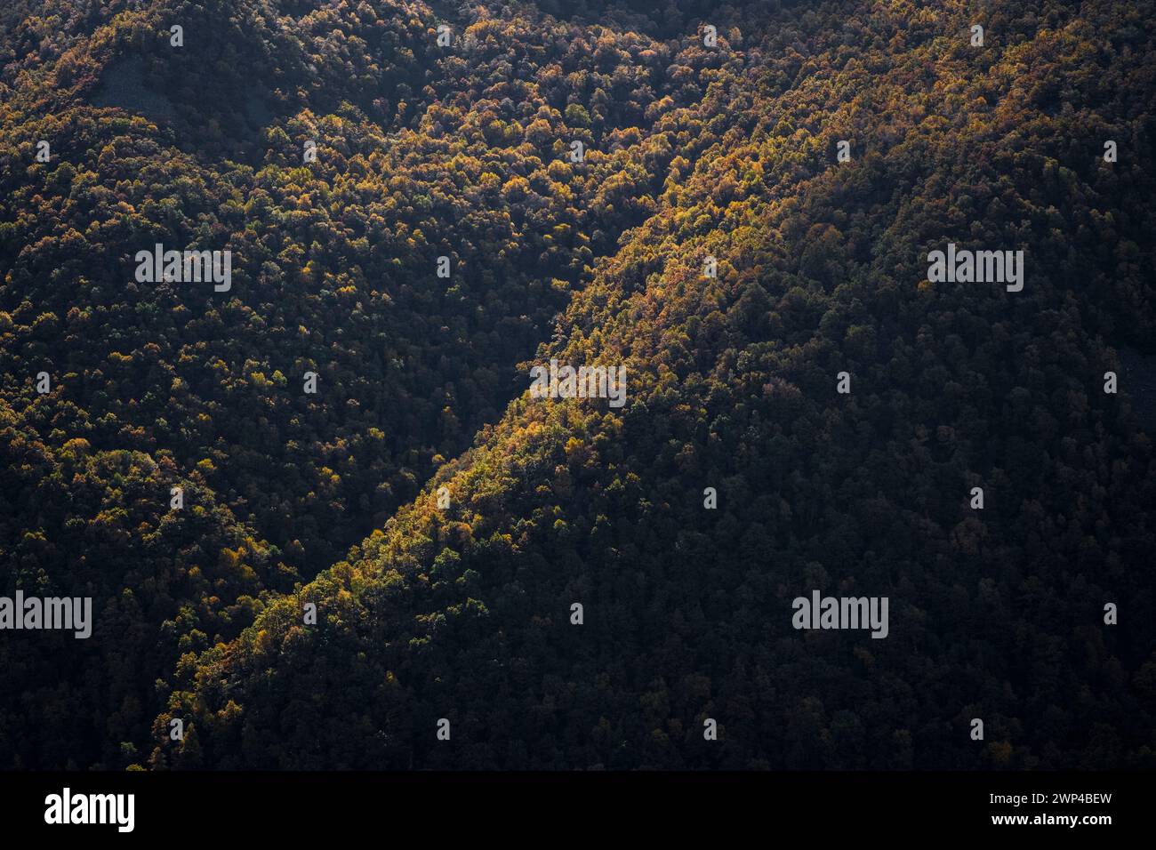 Castilla y Leon, Spanien - 6. November 2022 : Ancares Berge bedeckt von Bäumen Stockfoto