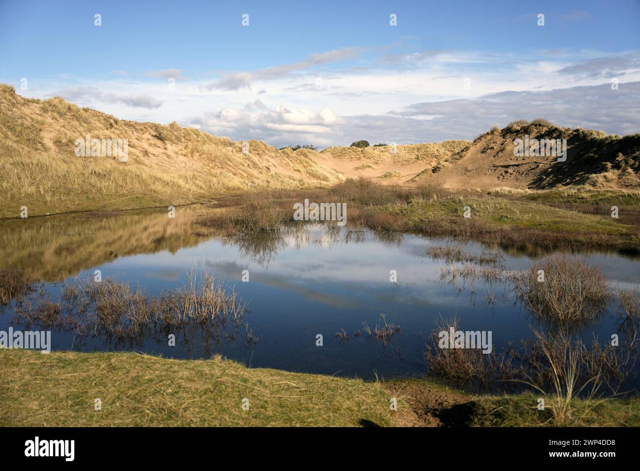 The Devil's Hole, eine große Dünenlandschaft im Ravenmeols Sandhills Local Nature Reserve, Formby, Sefton Coast, Großbritannien Stockfoto