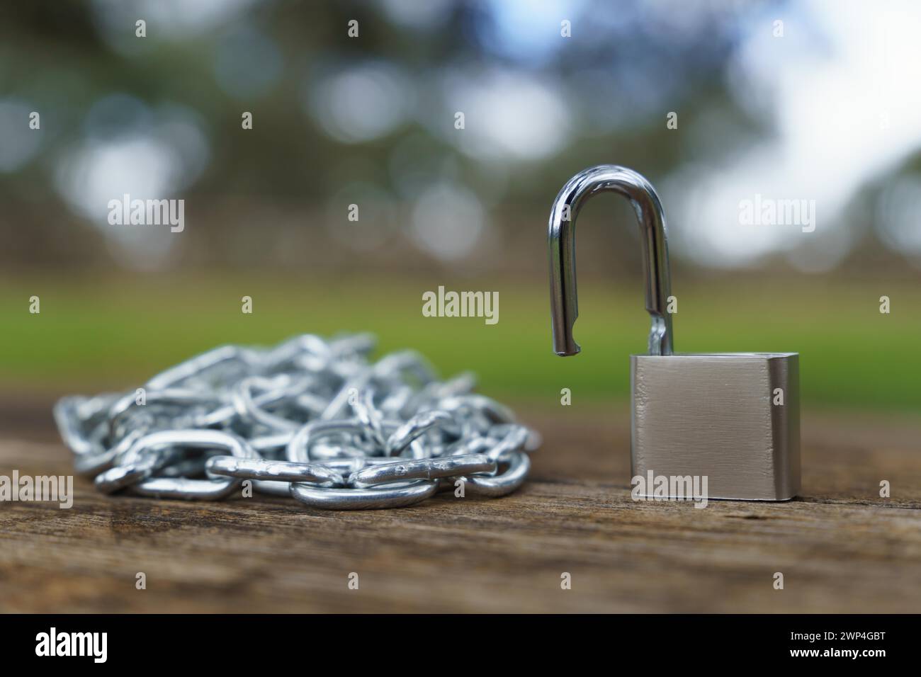 Nahaufnahme eines offenen Vorhängeschlosses neben einer Kette auf einem Holztisch auf einem Feld mit unscharfem Hintergrund Stockfoto