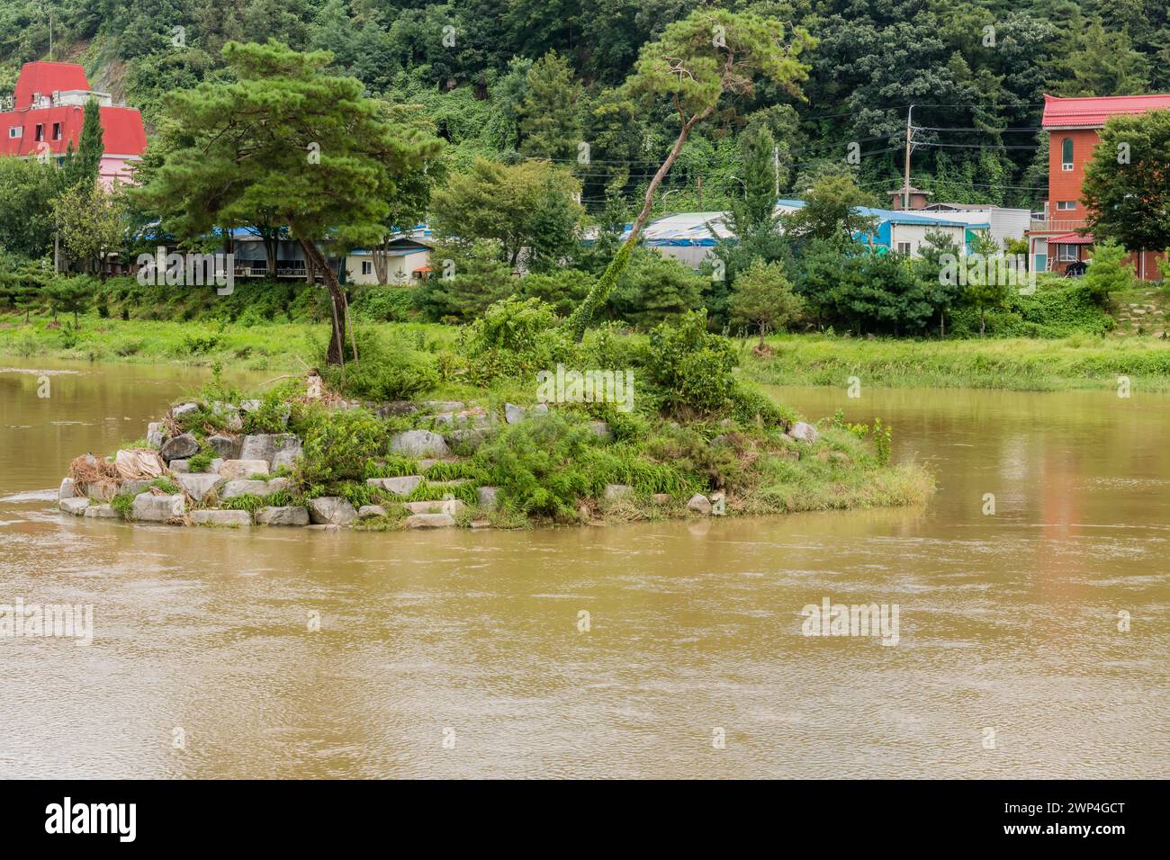 Bäume und Büsche auf einer kleinen, von Menschen geschaffenen Insel mitten in einem überfluteten Fluss nach Monsunregen in Daejeon Südkorea Stockfoto