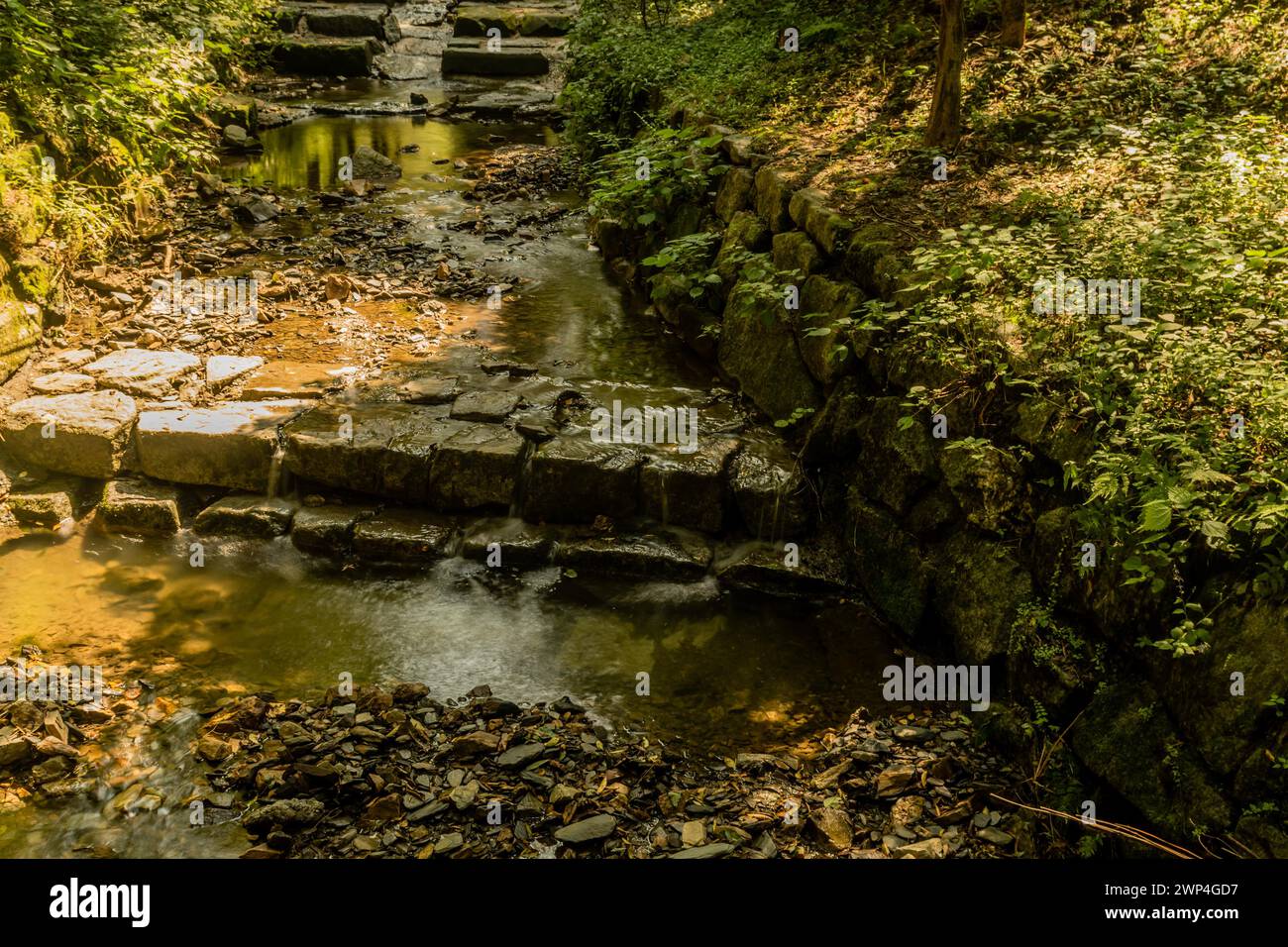 Seichte, von Menschen geschaffene, terrassenförmige Strömung durch Erholungswald an sonnigen Sommertagen in Südkorea Stockfoto