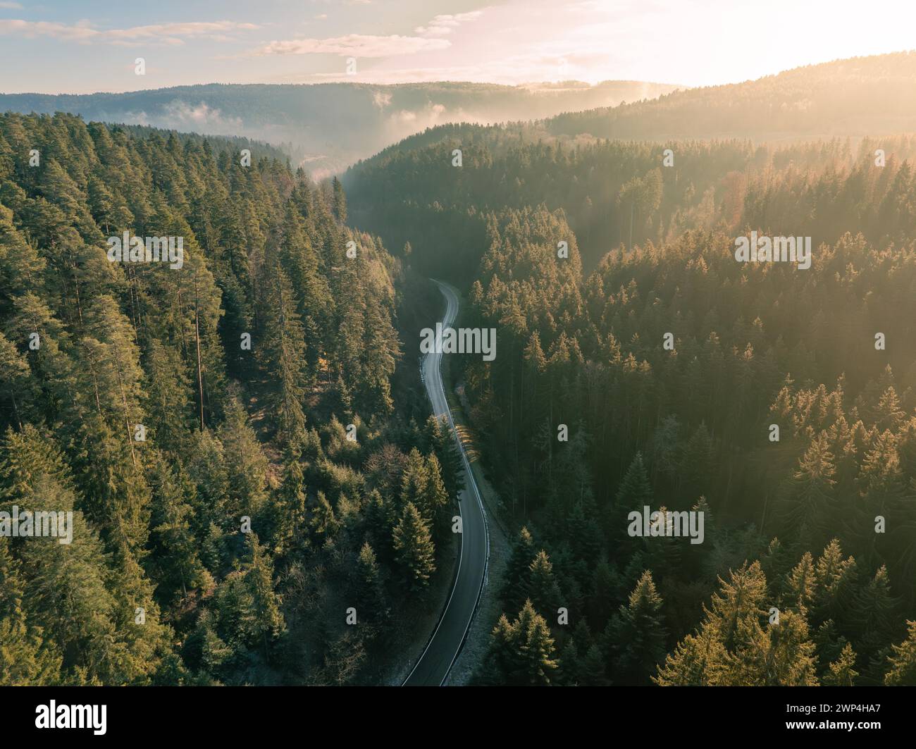 Eine kurvige Straße schlängelt sich bei Sonnenuntergang durch einen Bergwald, Schwarzwald, Deutschland Stockfoto