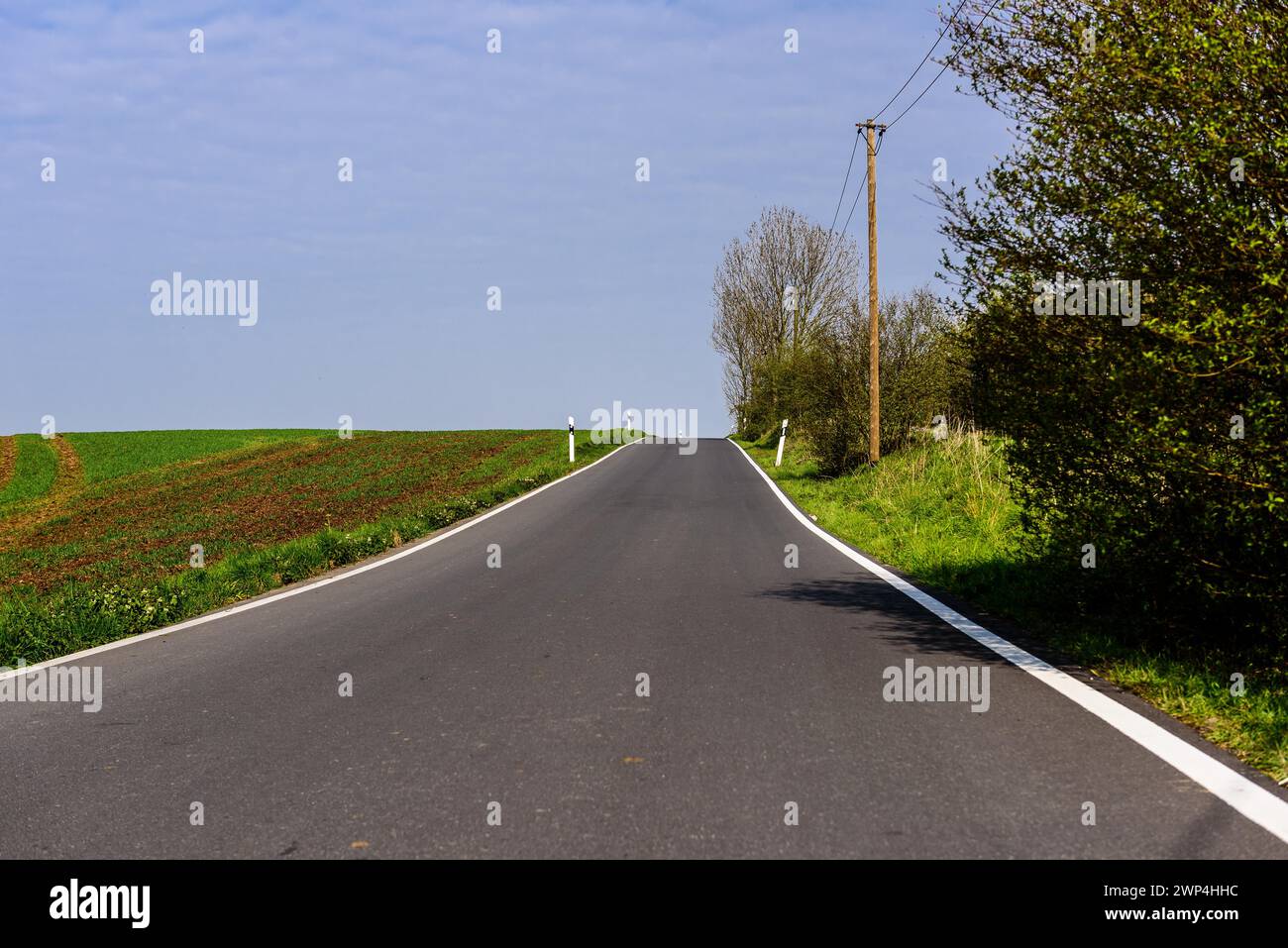 Eine leere Landstraße führt durch eine grüne Landschaft unter klarem blauem Himmel, Nordbahntrasse, Elberfeld, Wuppertal, Bergisches Land, Nord Stockfoto