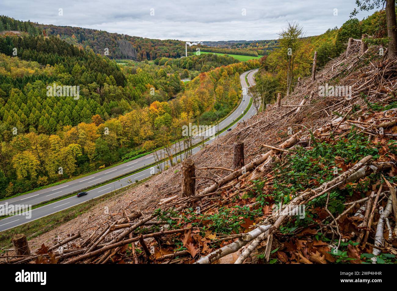 Herbstlandschaft mit abgeholztem Gebiet an einer gewundenen Straße, Bergisches Land, Nordrhein-Westfalen Stockfoto