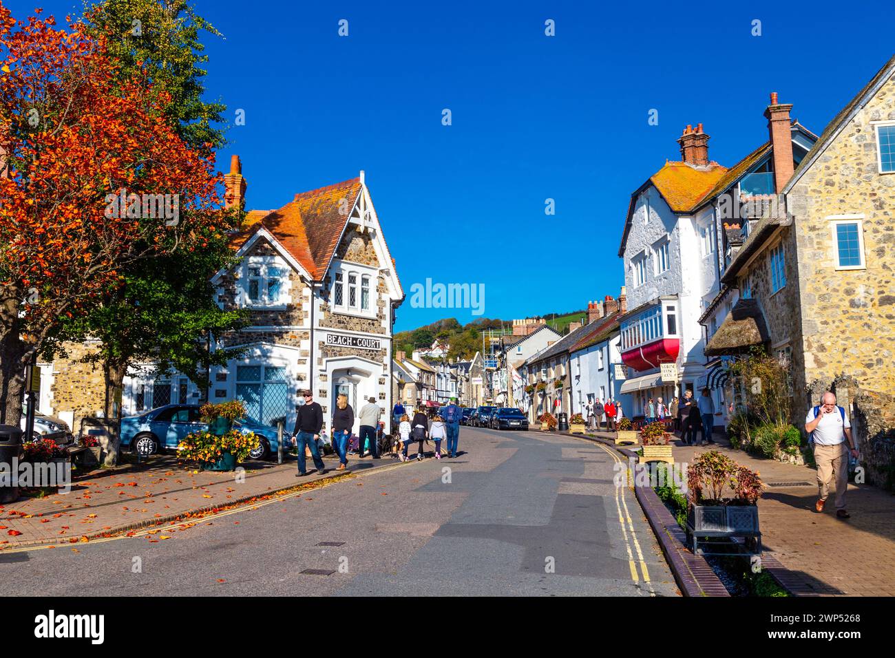Häuser entlang der Fore Street in der Küstenstadt Beer, Devon, Jurassic Coast, Großbritannien Stockfoto