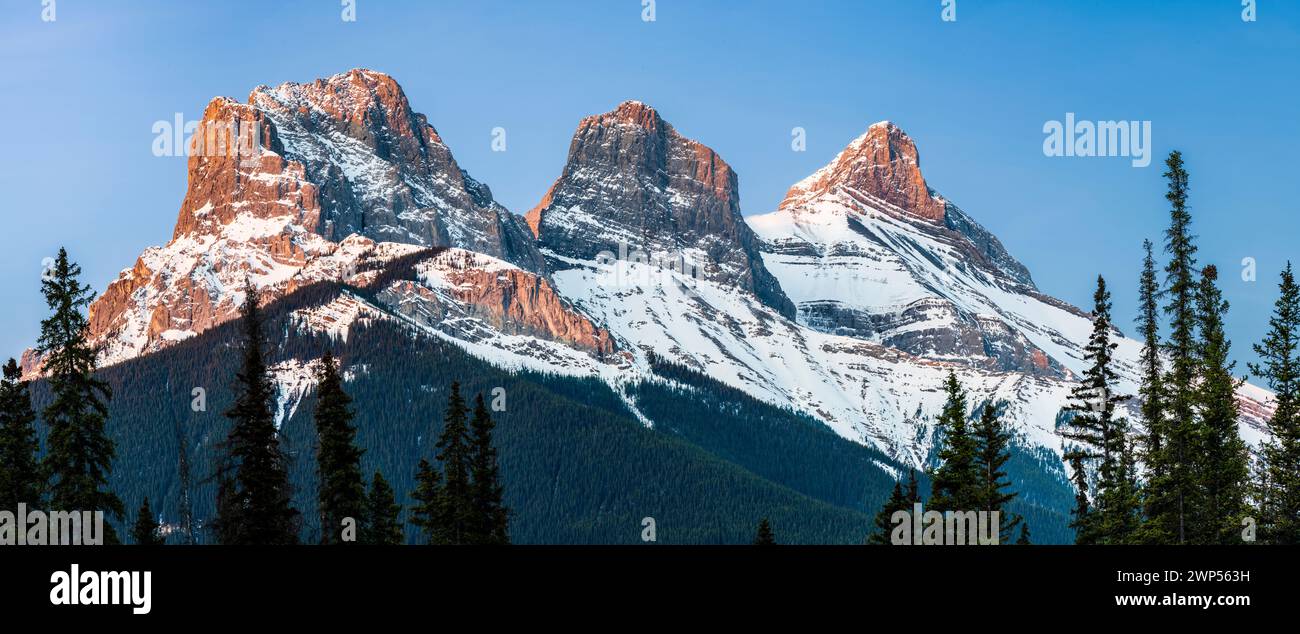 Drei Schwestern Berge, Canmore, Alberta, Kanada Stockfoto