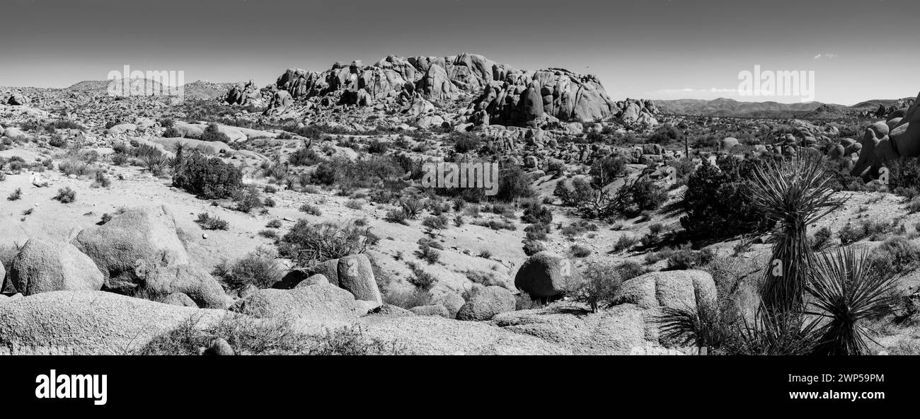 Felsformation in einer kargen Landschaft, Joshua Tree National Monument, Kalifornien, USA Stockfoto