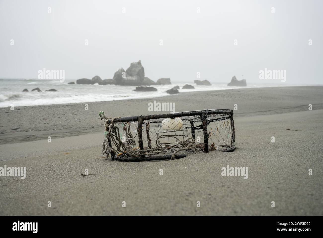 Ausgeworfener Käfig zum Angeln an den Beach Shores im Redwood National Park Stockfoto