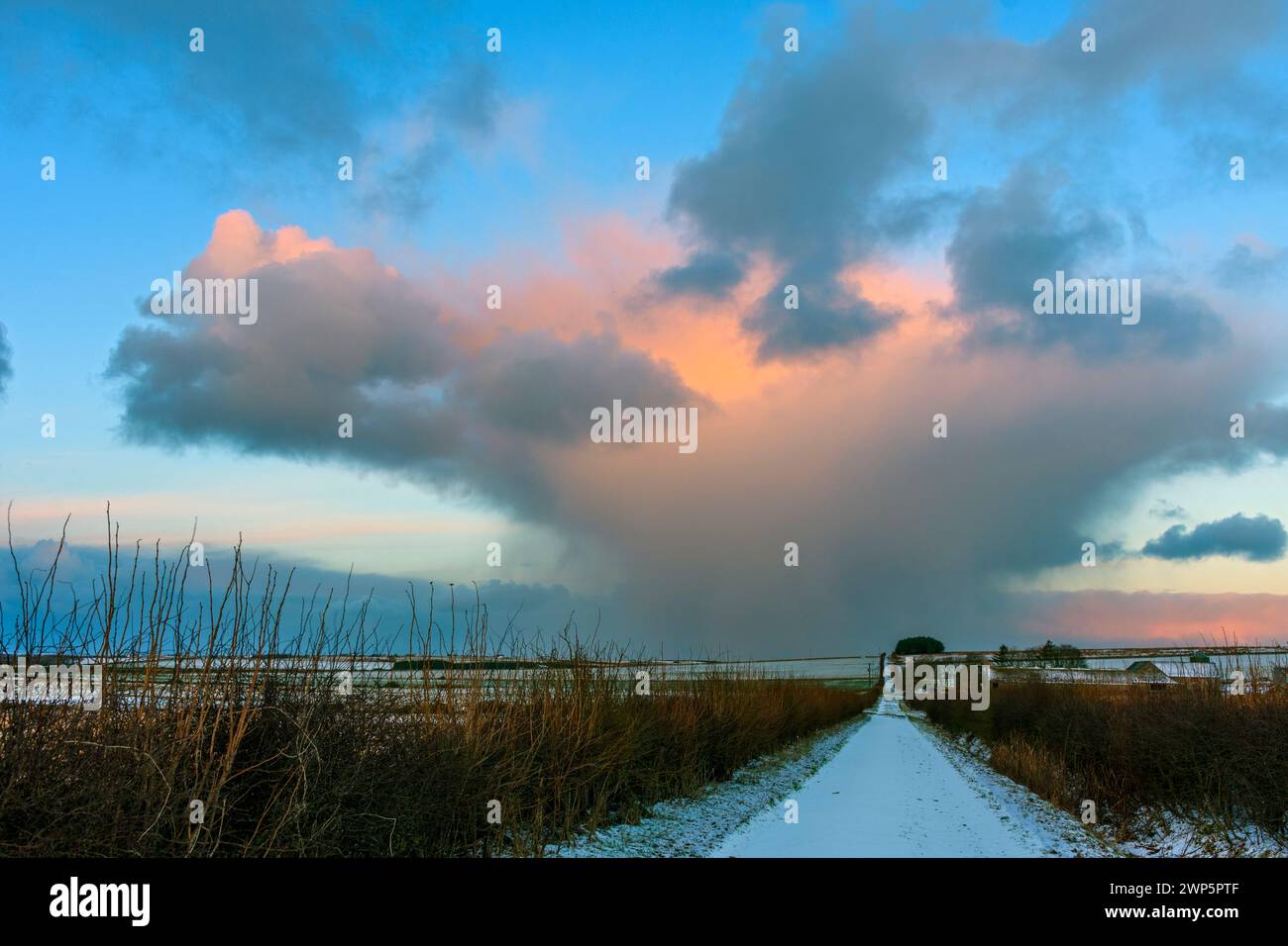 Schneeschauer bei Sonnenuntergang von einem schneebedeckten Bauernhof in der Nähe des Dorfes Mey, Caithness, Schottland, Großbritannien Stockfoto