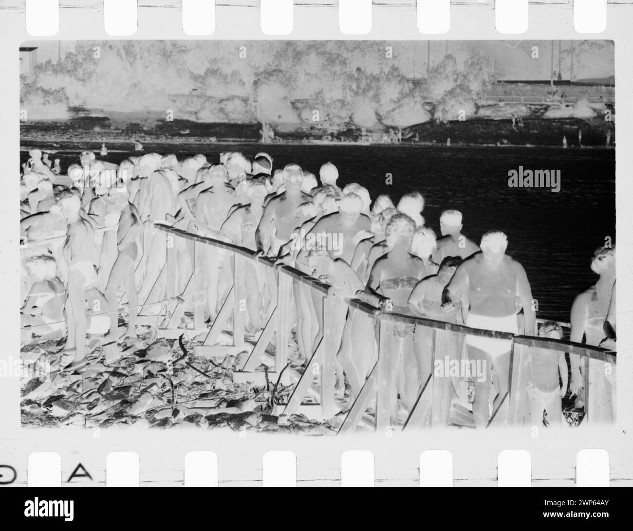 1964 Foto mit einem Hund (Pielsko) am rechten Ufer der Weichsel in Warschau bei Sommerausflügen am Wochenende. Stockfoto