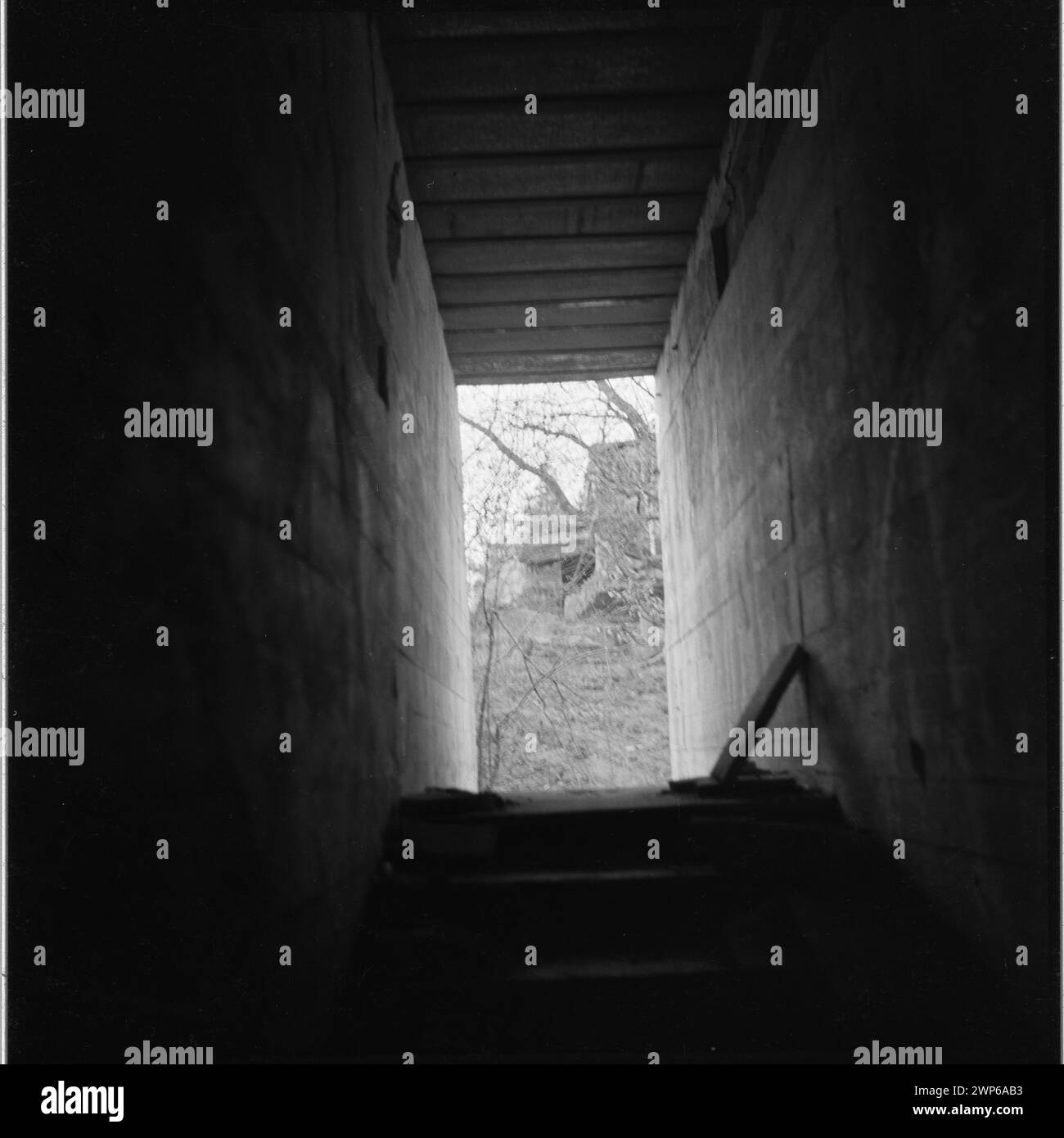 Fotografien dokumentieren den dritten Bunker in Wolf’s Shape, einem Teil des Hauptquartiers Adolf Hitlers, der 1953 in einem artikel von Miroszek Azembski beschrieben wurde. Stockfoto