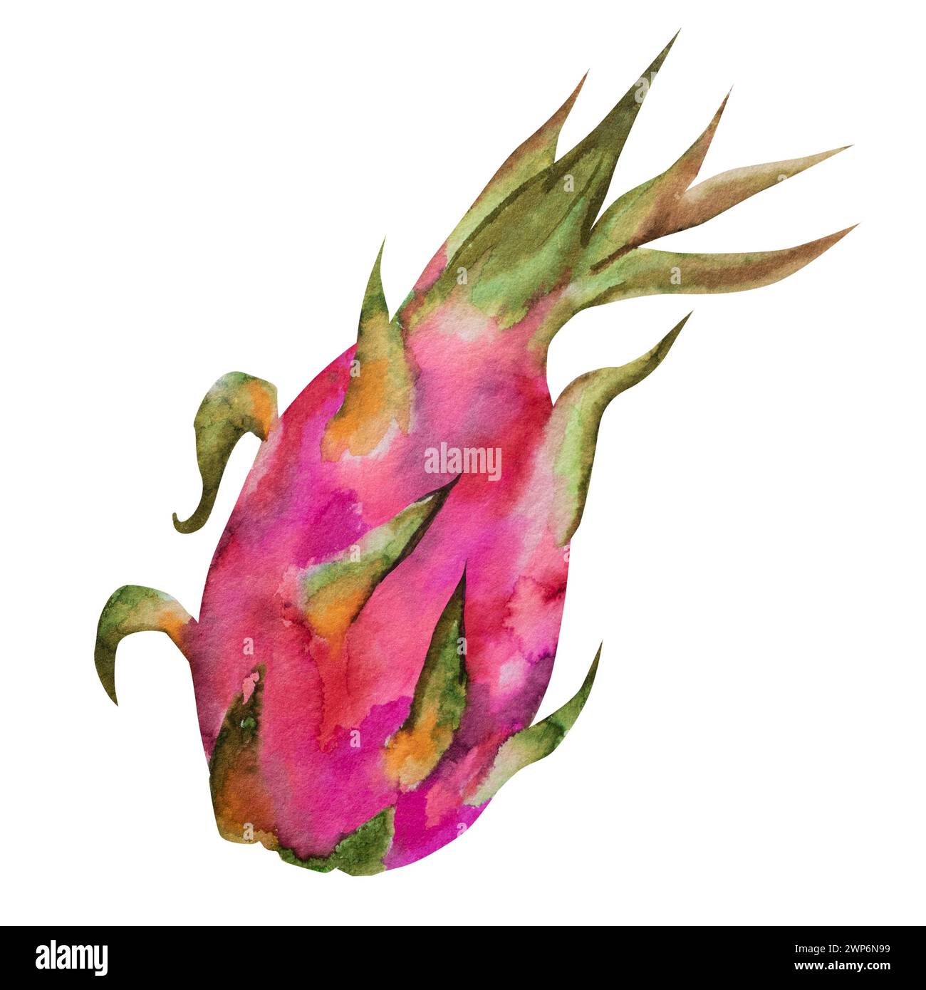 Aquarellillustration der roten Drachenfrucht, halb Pitahaya mit Scheiben. Botanische Komposition für vegetarische exotische Produkte, Drucke, Aufkleber. Stockfoto