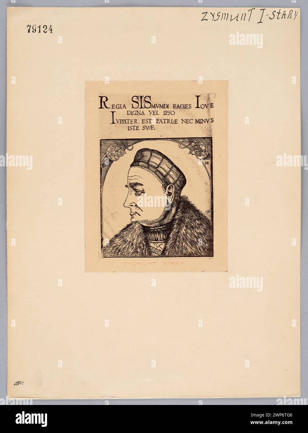 Eine Abbildung von König Zygmunt Stary, die sein Profil zeigt, erstellt um 1900, mit Gesichtszügen und königlichem Aussehen. Stockfoto Eine Abbildung von König Zygmunt Stary, die sein Profil zeigt, erstellt um 1900, mit Gesichtszügen und königlichem Aussehen. Stockfoto