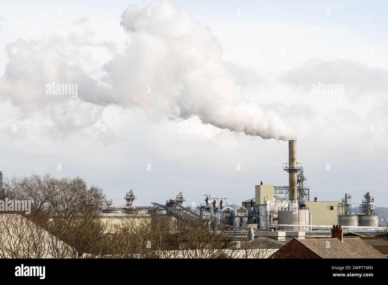 Hexham UK 5. März 2024 Emissionen aus der Spanplattenfabrik Egger in Hexham, Northumberland, England, Vereinigtes Königreich Stockfoto