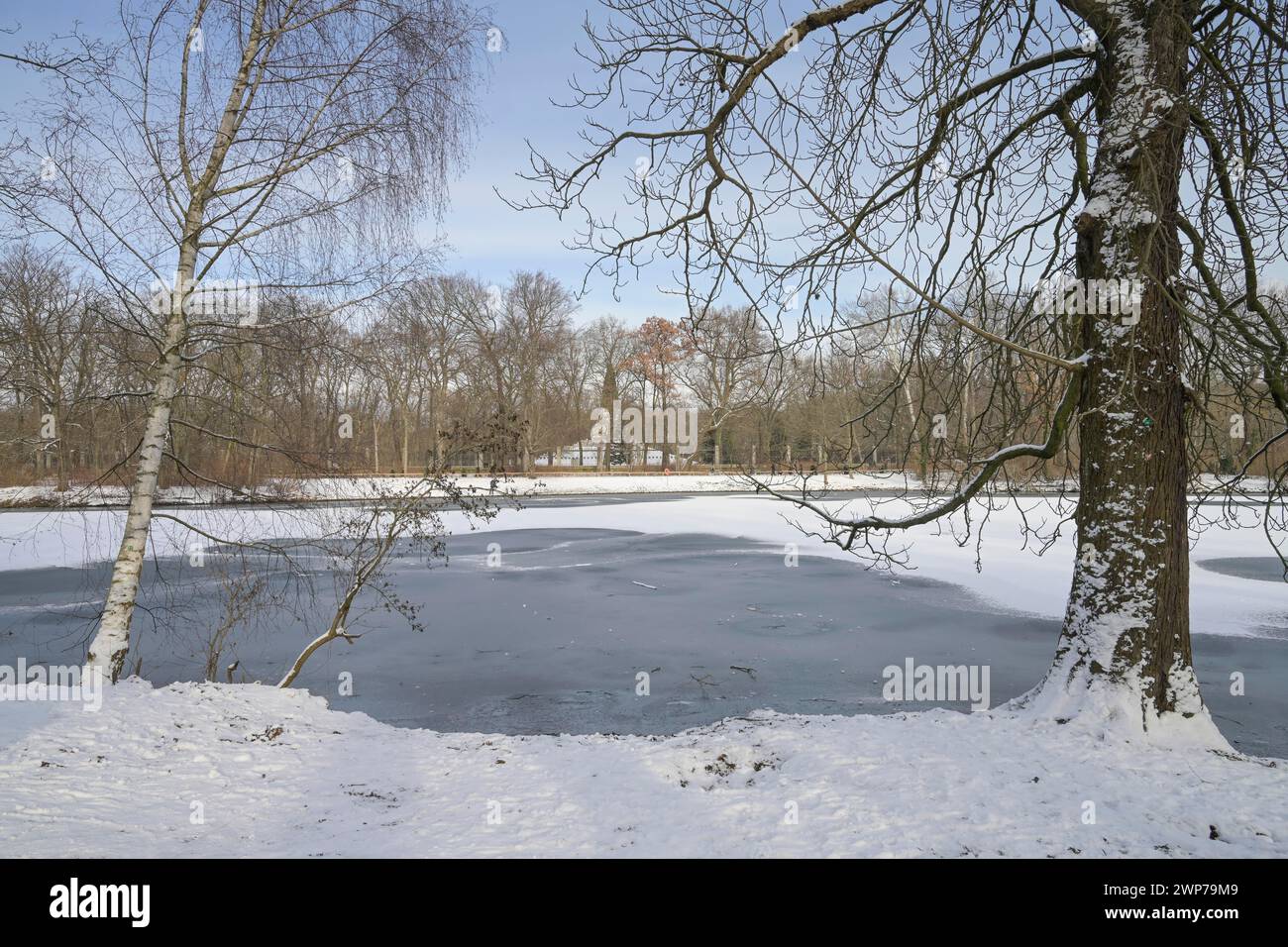 Winter, Karpfenteich, Eis, Treptower Park, Treptow, Treptow-Köpenick, Berlin, Deutschland Stockfoto