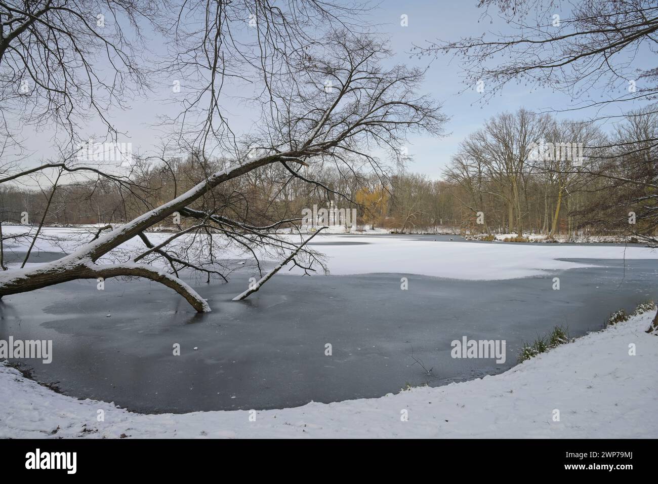 Winter, Karpfenteich, Eis, Treptower Park, Treptow, Treptow-Köpenick, Berlin, Deutschland Stockfoto