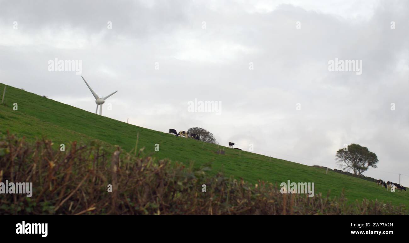 Bild von Windkraftanlagen und Klamotten am Himmel Stockfoto