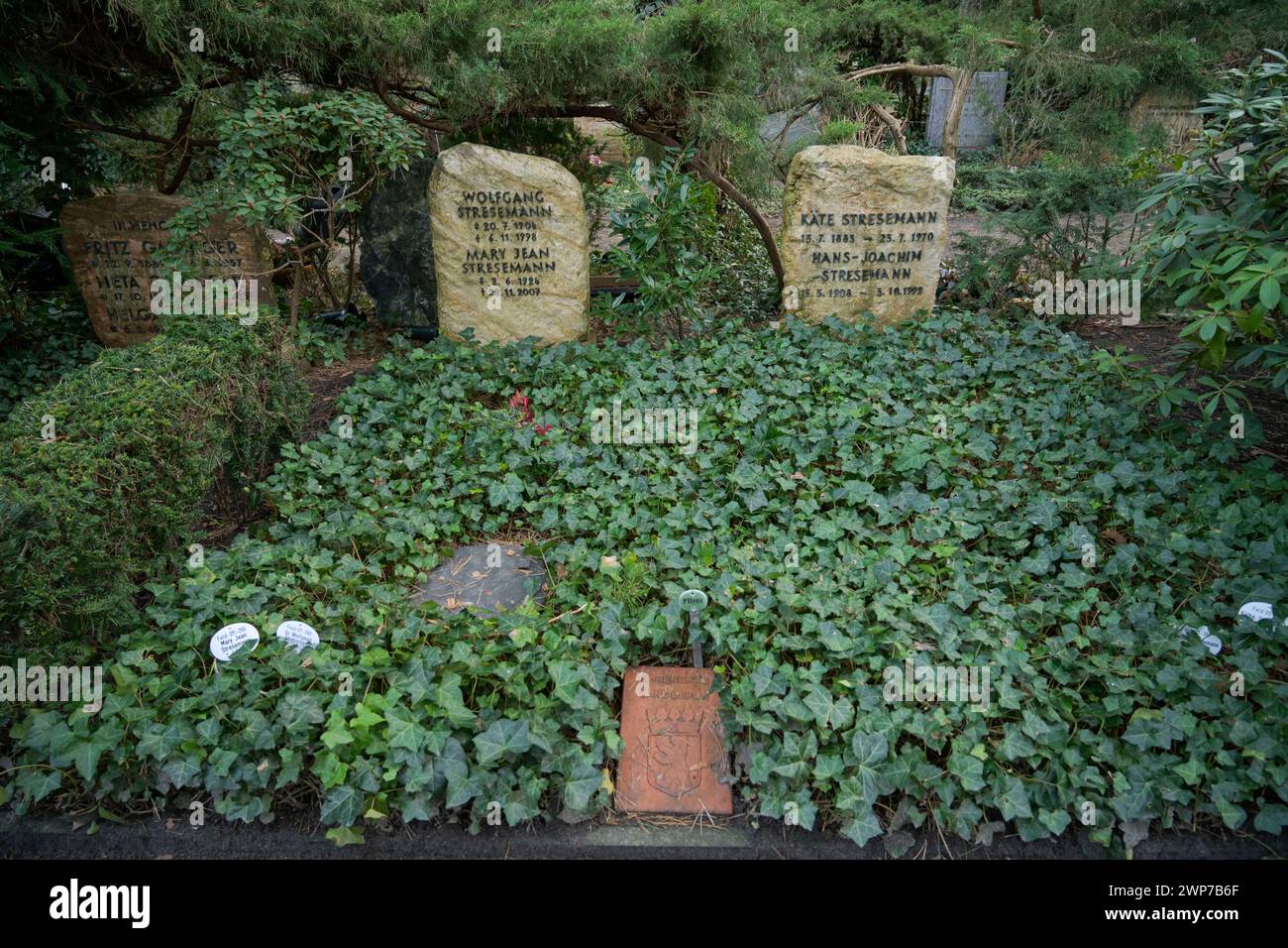 Wolfgang Stresemann, Grab, Waldfriedhof Dahlem, Hüttenweg, Steglitz-Zehlendorf, Berlin, Deutschland Stockfoto