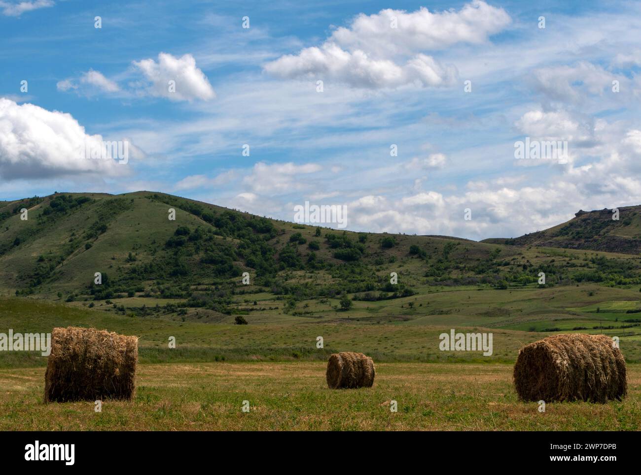 Ruhiges Trio. Heuballen unter azurblauem Himmel. Stockfoto