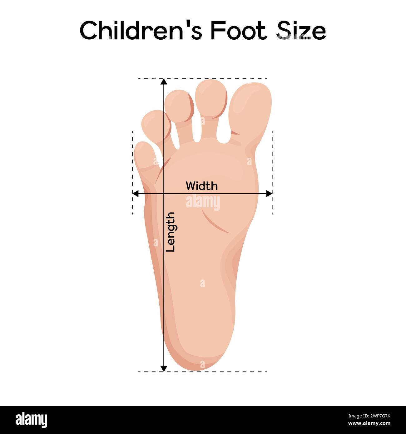 Fußgrößenmessungen für Kinder-Vektor-Illustrationsdesign. Schrittlänge und -breite metrisch Stock Vektor