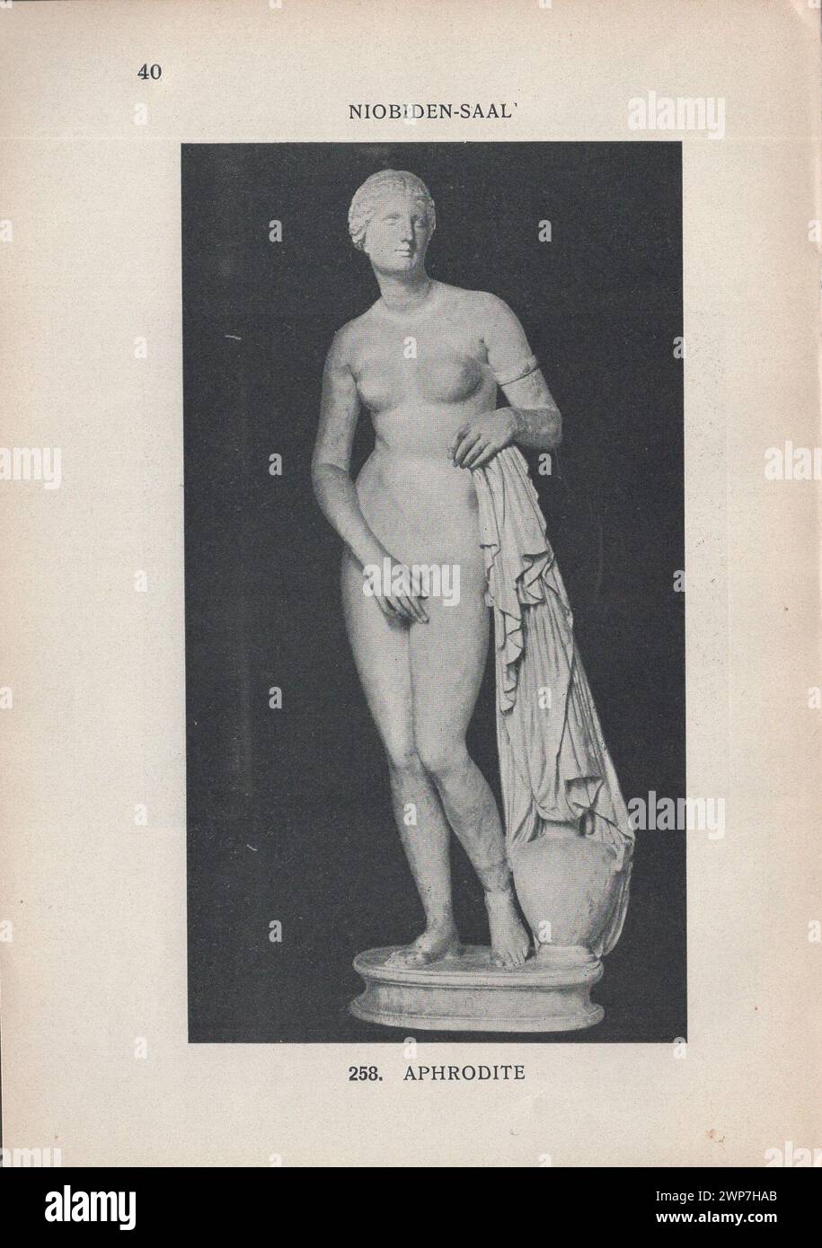 Adolf Furtwängler : Glyptothek 1907 / Illustrierter Katalog der Glyptothek König Ludwig's I. zu München / Kastner & Callwey, 1907 / illustrierter Katalog der Glyptothek von König Ludwig I. in München 1907 / Niobiden-Saal - Niobidensaal / Aphrodite - Aphrodite / antike griechische Göttin - Aphrodite Statue - antike Aphrodite Statue Stockfoto