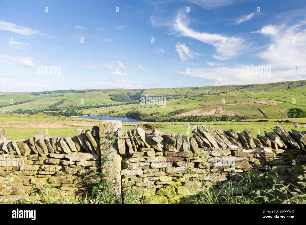 Großbritannien, West Yorkshire, Trockenmauer mit Blick auf Holme Moss bei Holmfirth. Stockfoto