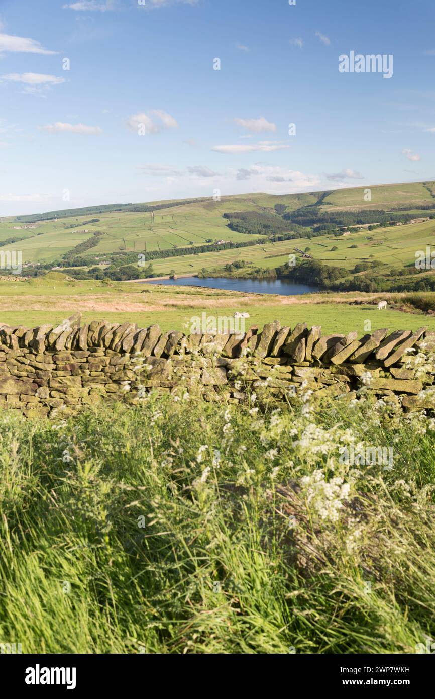 UK, WST Yorkshire, Trockenmauer mit Blick auf Holme-Moos in der Nähe von Holmfirth. Stockfoto