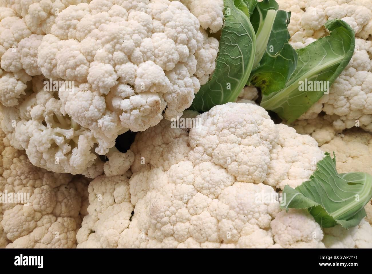 Nahaufnahme eines Blumenkohlstapels auf einem Marktstand. Stockfoto