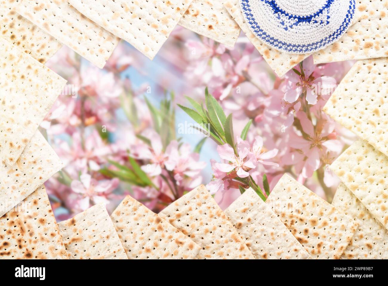 Passover-seder-Feiertagskonzept. Matzah, koscherer Nussbaum, weiße und gelbe Rosen vor Frühlingsblütenbaumgarten und Blumenlandschaft mit Su Stockfoto