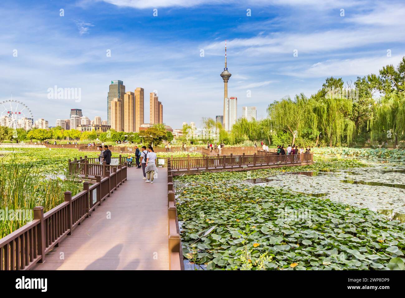 Promenade im Seerosenteich von Shuishang Park, Tianjin, China Stockfoto