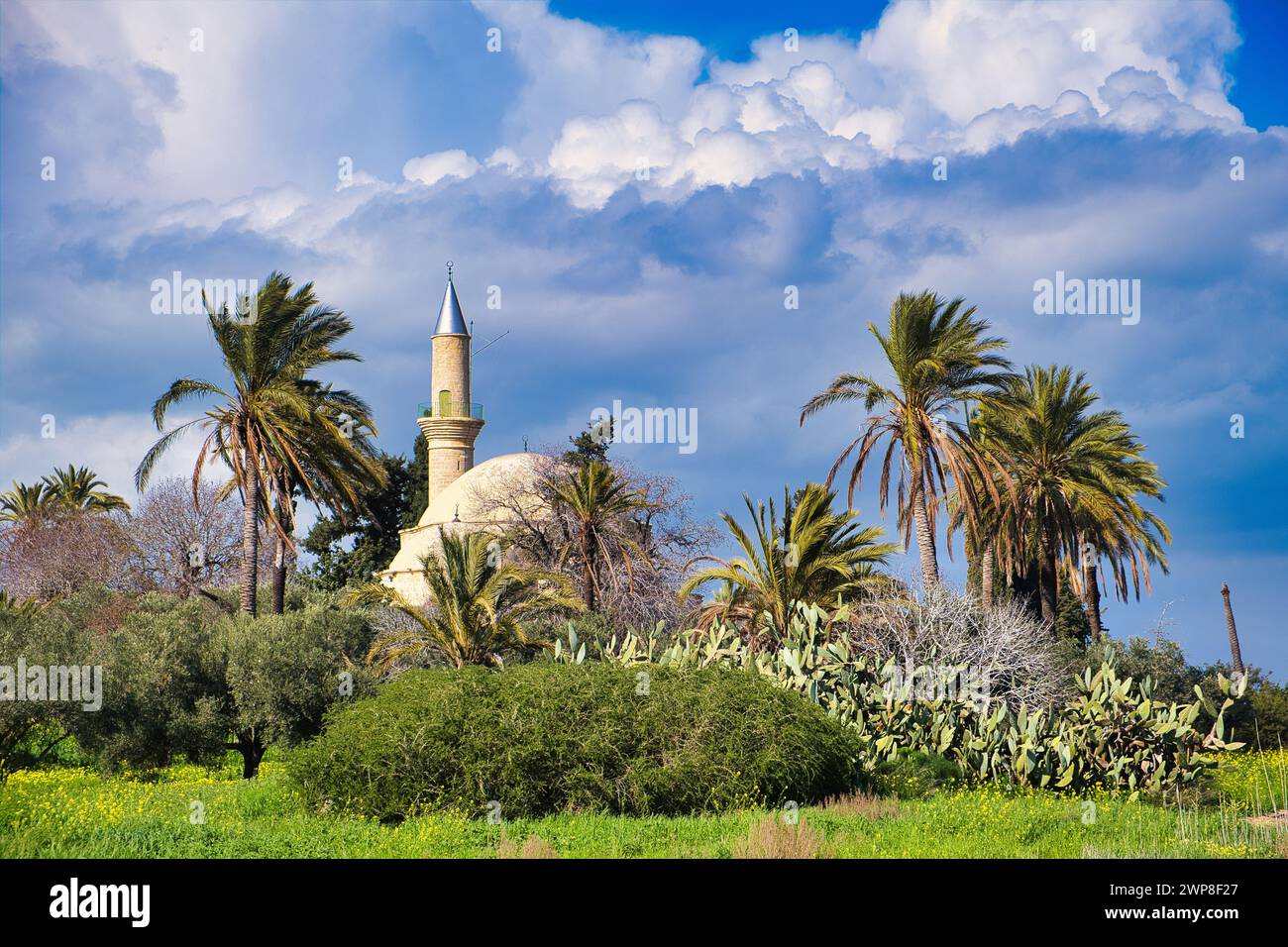 Die osmanische türkische Hala Sultan Tekke oder Moschee von Umm Haram (1760) in Larnaka, Zypern, umgeben von hohen Palmen und Kakteen, unter dunklen Wolken Stockfoto