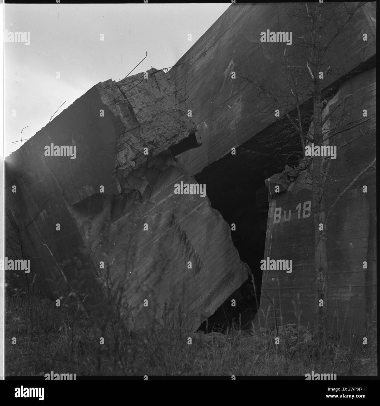 Fotografie von Wilcze Szańć mit den Überresten eines Bunkers aus Adolf Hitlers Hauptquartier, aufgenommen 1953 von Wiesław Prażuch. Stockfoto