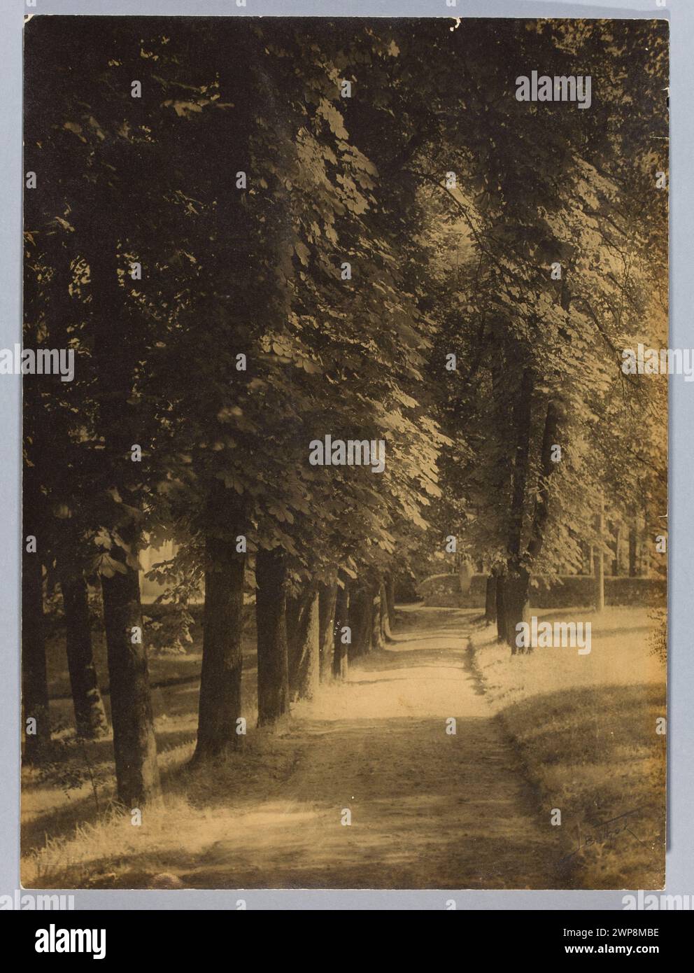 Gemälde aus dem frühen 20. Jahrhundert von Jan BU Hak, das ein Fragment eines Parks in Rabka, Polen, zeigt, das natürliche Landschaft und Grün betont. Stockfoto
