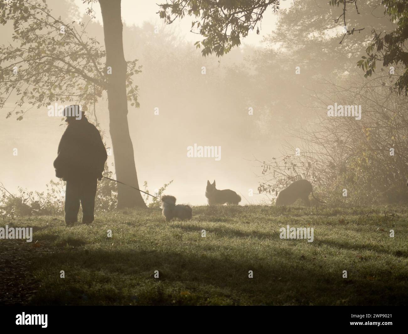 Wie der Name schon vermuten lässt, liegt der Abingdon Marina Park nur einen Steinwurf vom Yachthafen der Stadt entfernt, neben der Themse, die hier im Hinterland unauffällig zu sehen ist Stockfoto