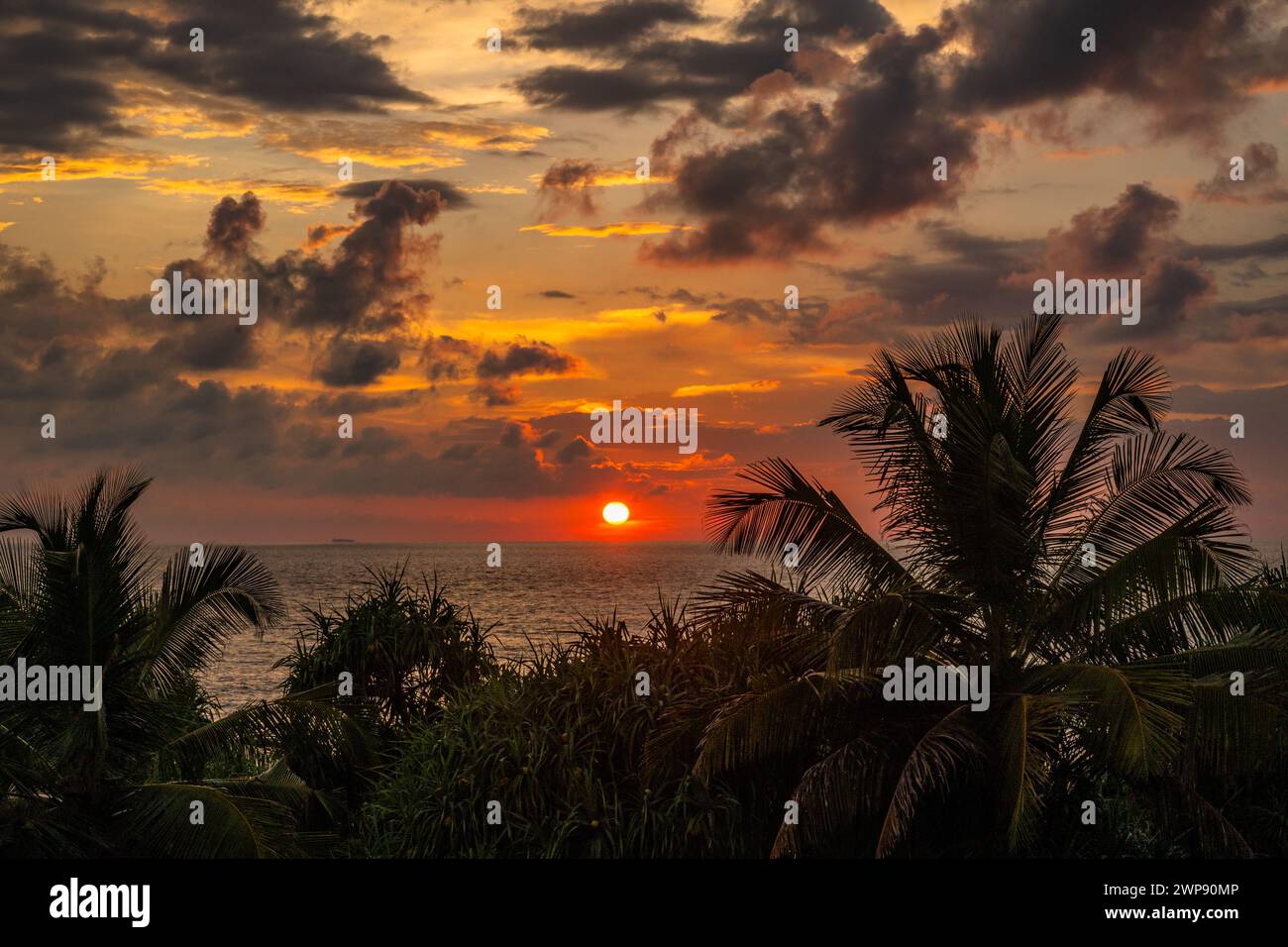 Schöner Sonnenuntergang mit dunkler Wolke bei Monsunwetter, Palmen am Strand, Indischer Ozean. Strand Waskaduwa, Sri Lanka. Stockfoto