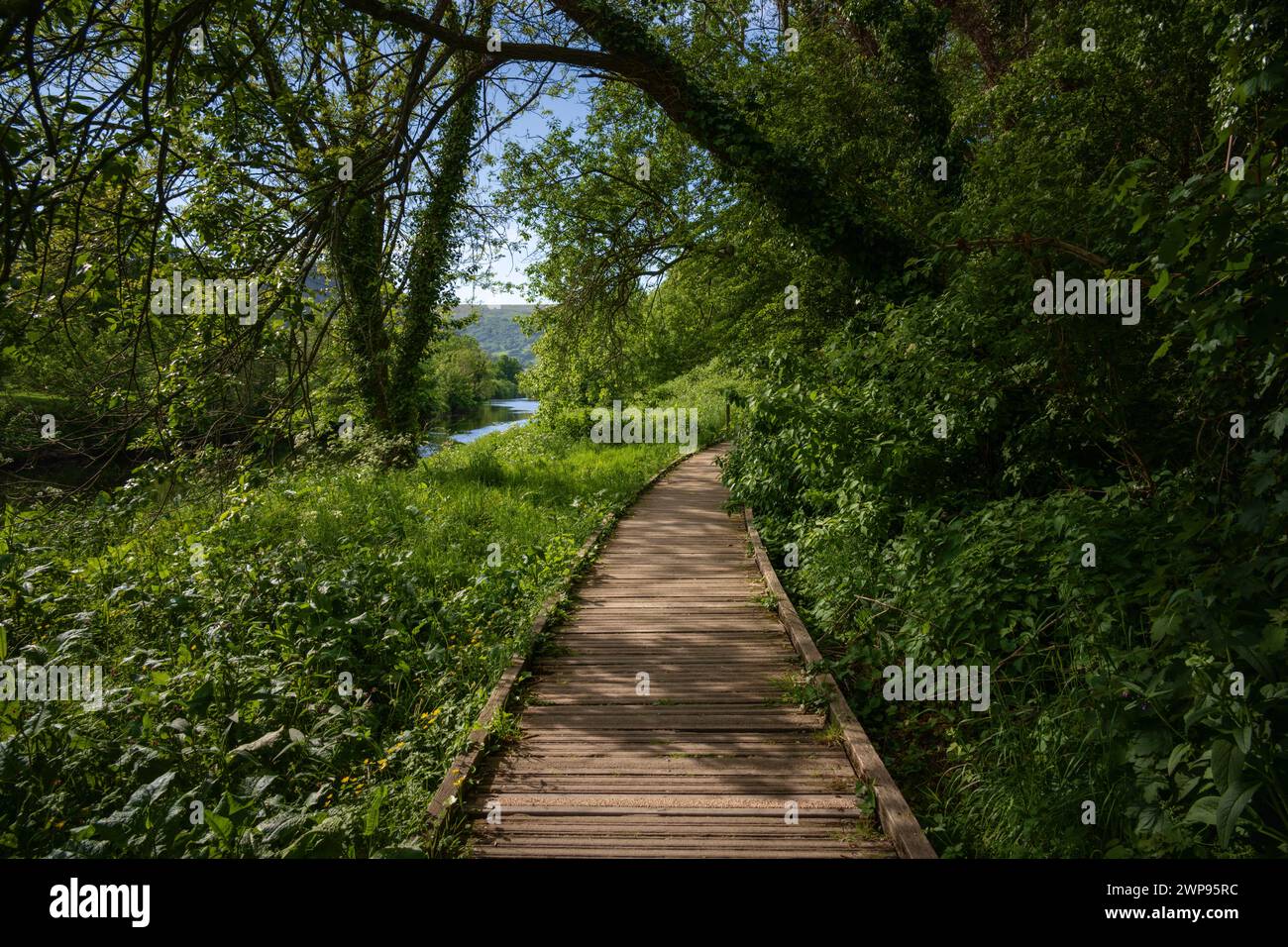 Promenade am Conwy River, Llanrwst, Wales Stockfoto