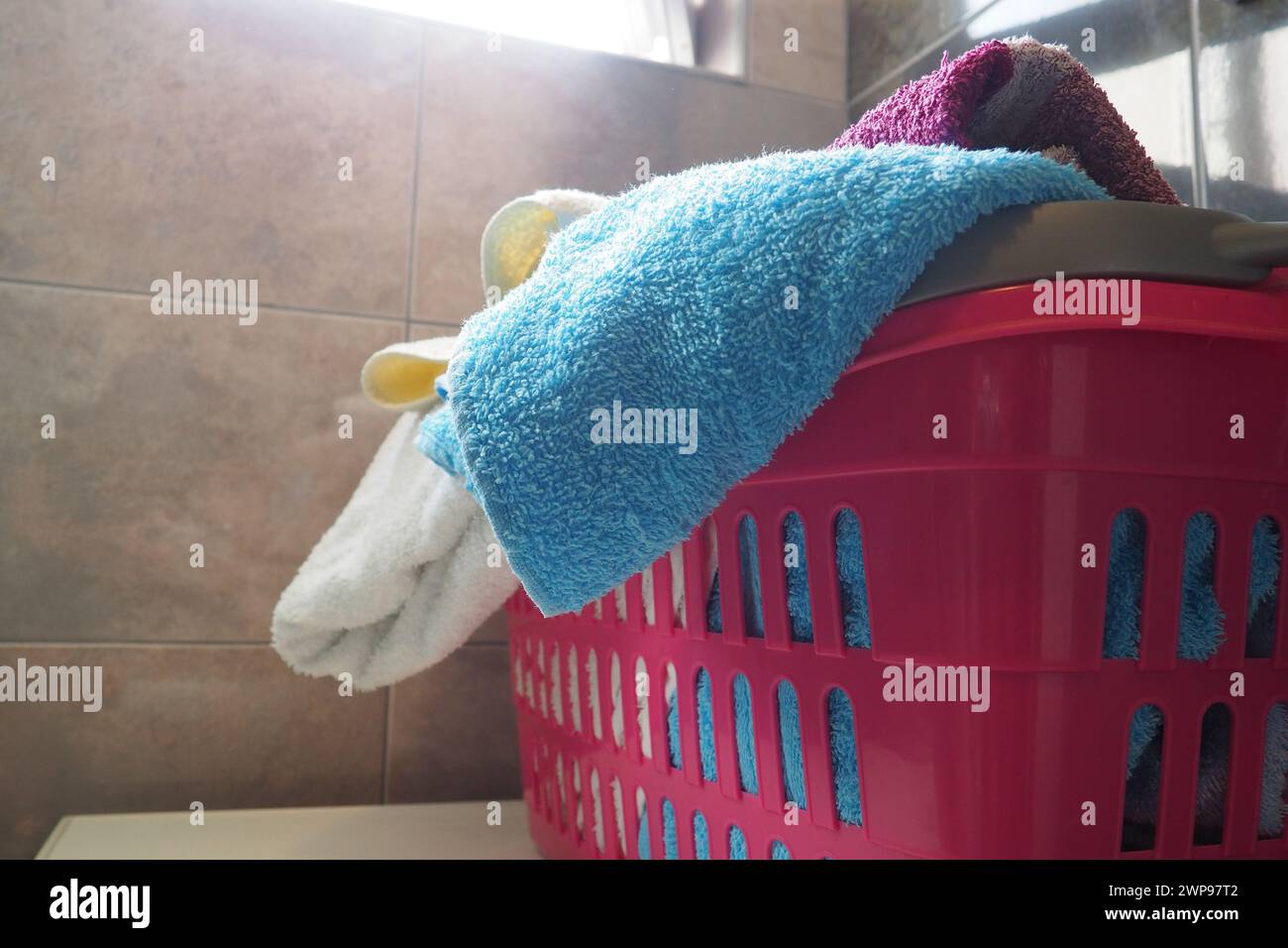 Handtücher im Wäschekorb. Blaue und pinkfarbene Frottiertücher aus Baumwolle werden in einen rosafarbenen Plastikkorb geworfen. Housekeeping. Lagerung und Trennung von Wäsche Stockfoto