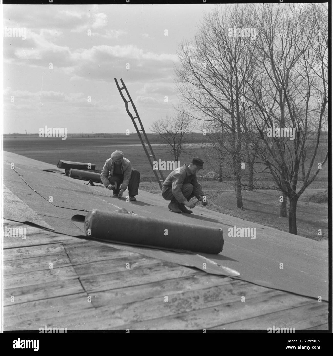 Foto von 1954, das Dachdecker zeigt, die an einem PGR-Gebäude in Karsk Pyrzycki arbeiten, das Teil staatlicher Bauernhöfe ist. Stockfoto