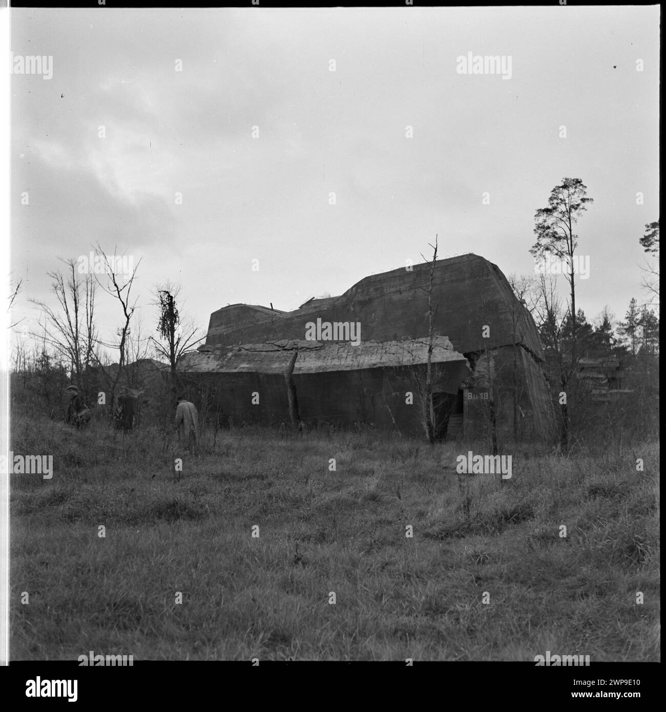 Fotografische Serie, die die Überreste eines Bunkers in Hitlers Wolfsschanze zeigt und strukturelle Elemente und umliegendes Gelände hervorhebt, dokumentiert 1953. Stockfoto
