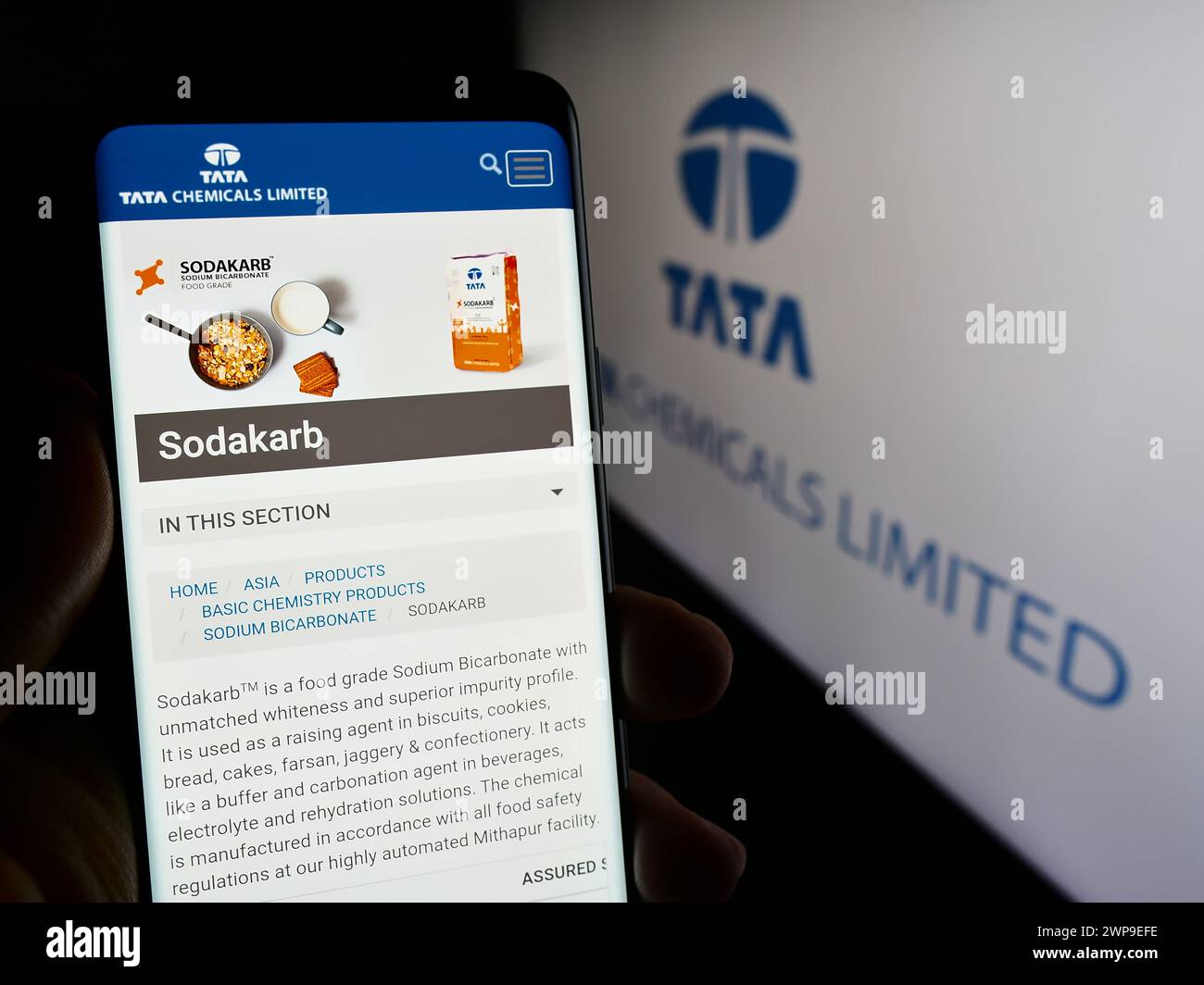 Person, die ein Handy hält, mit der Webseite des indischen Chemieunternehmens Tata Chemicals Limited vor dem Logo. Konzentrieren Sie sich auf die Mitte des Telefondisplays. Stockfoto