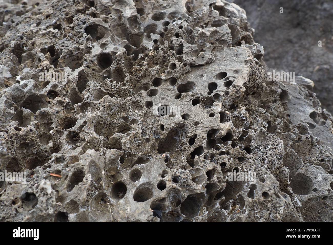 Vulkanische Steine. Schwammiges zelluläres, luftiges poröses Steinmaterial. Close-up Rock in der Nähe von Meljine, Herceg Novi, Montenegro. Löcher in erstarrter Lava. Grau Stockfoto